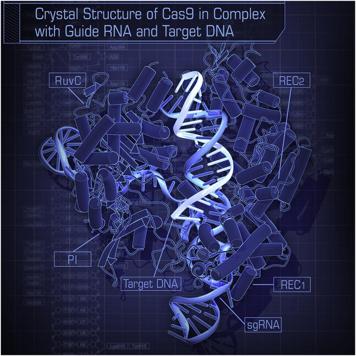Cas9 complex.jpg