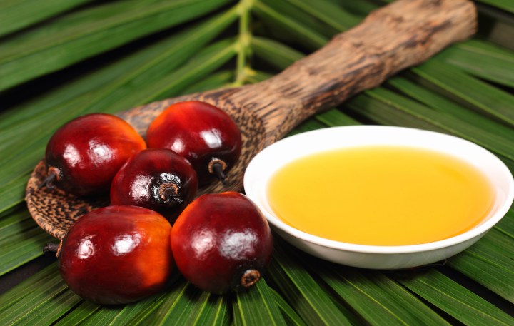 palmoil.jpg