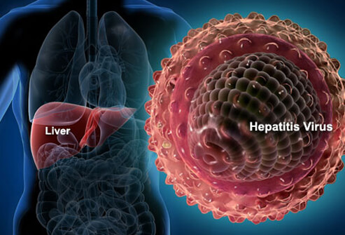 hepatitis-b-virus