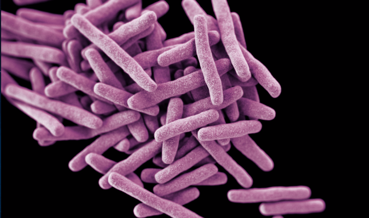 Caleb Peptide Microarray