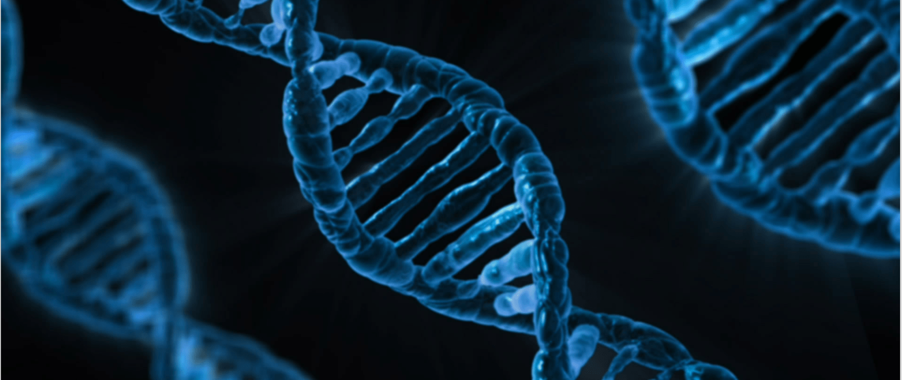 Figure 1: DNA Fountain allows data to be stored in DNA more densely with reliable retrieval.