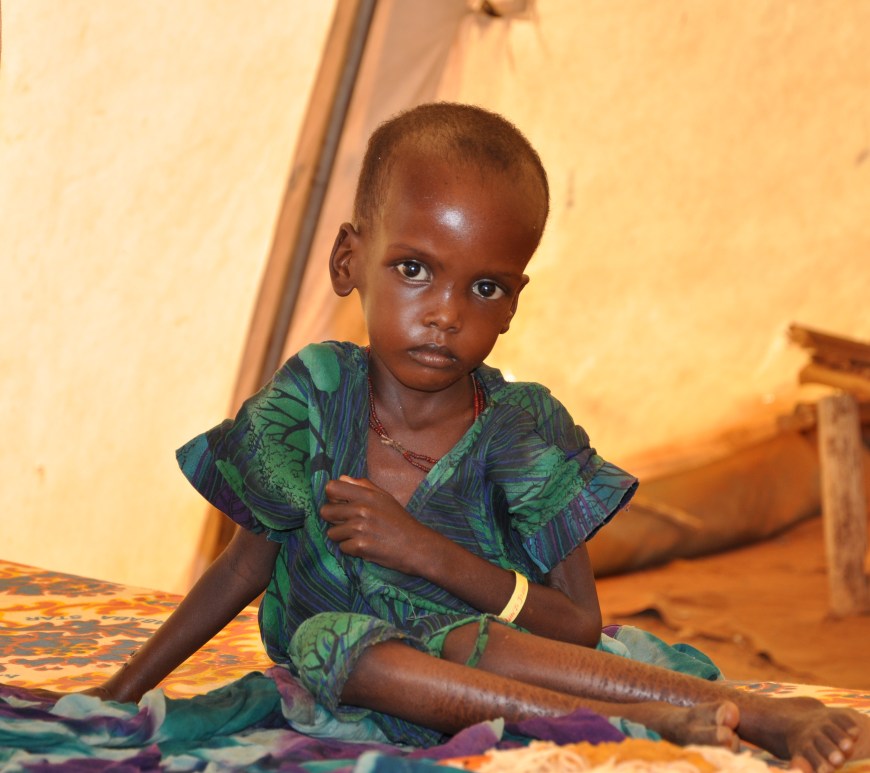 Figure 1. Low birth weight is the cause of innumerable preventable diseases in sub-Saharan Africa.