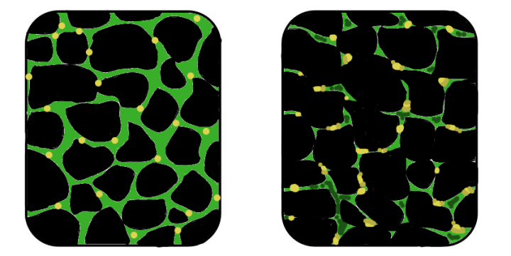 Figure 1: This is an illustration depicting the difference between healthy muscle cells (shown on the right) and muscle cells affected by muscle dystrophy (shown on the left). Due to the degeneration of the muscle cells, they will appear much smaller than usual.