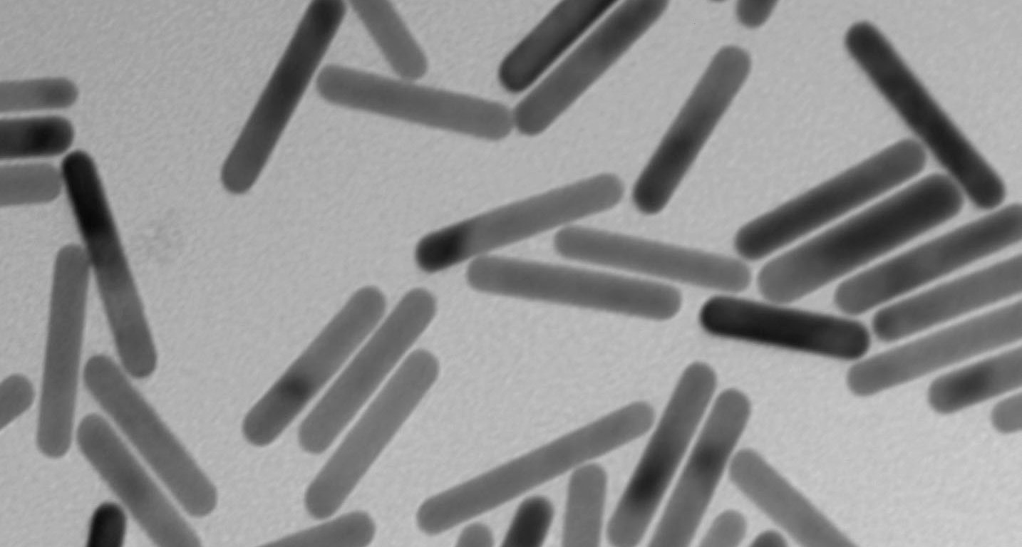 Figure 1 Lipid-coated gold nanorods used to study transfection efficacy of HSP promoters
