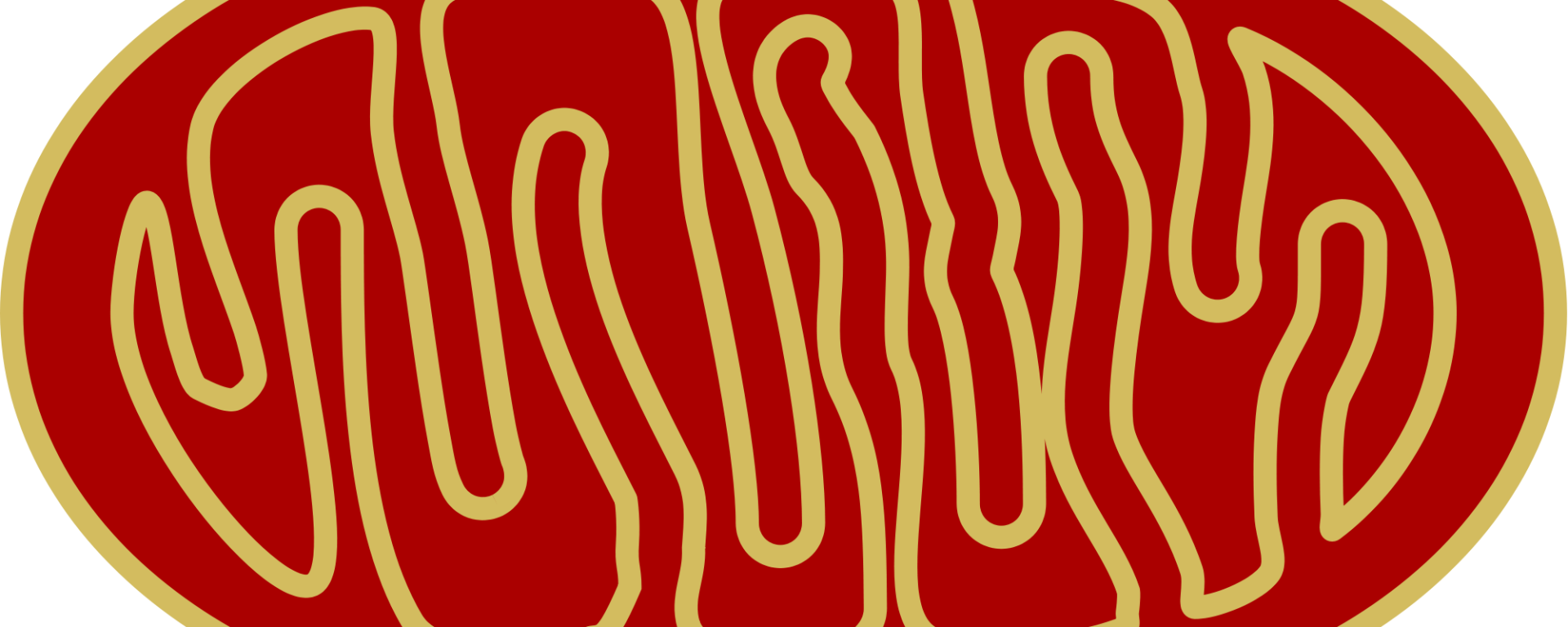 Figure 1. Scientists from UCLA controlled expression of genes Drp1 and Atg1 in fruit flies to promote breakdown and removal of damaged mitochondria.