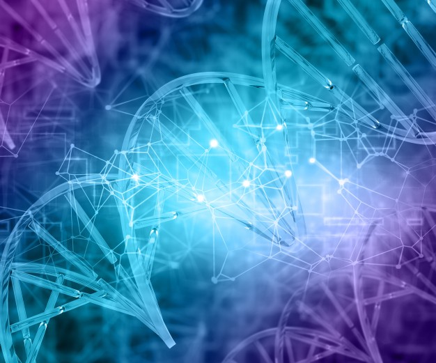 Figure 1. 3D render of the characteristic double helix structure of DNA. Although genes can now be easily identified and sequenced, knowledge of how nucleus structure affects gene regulation remain incomplete.