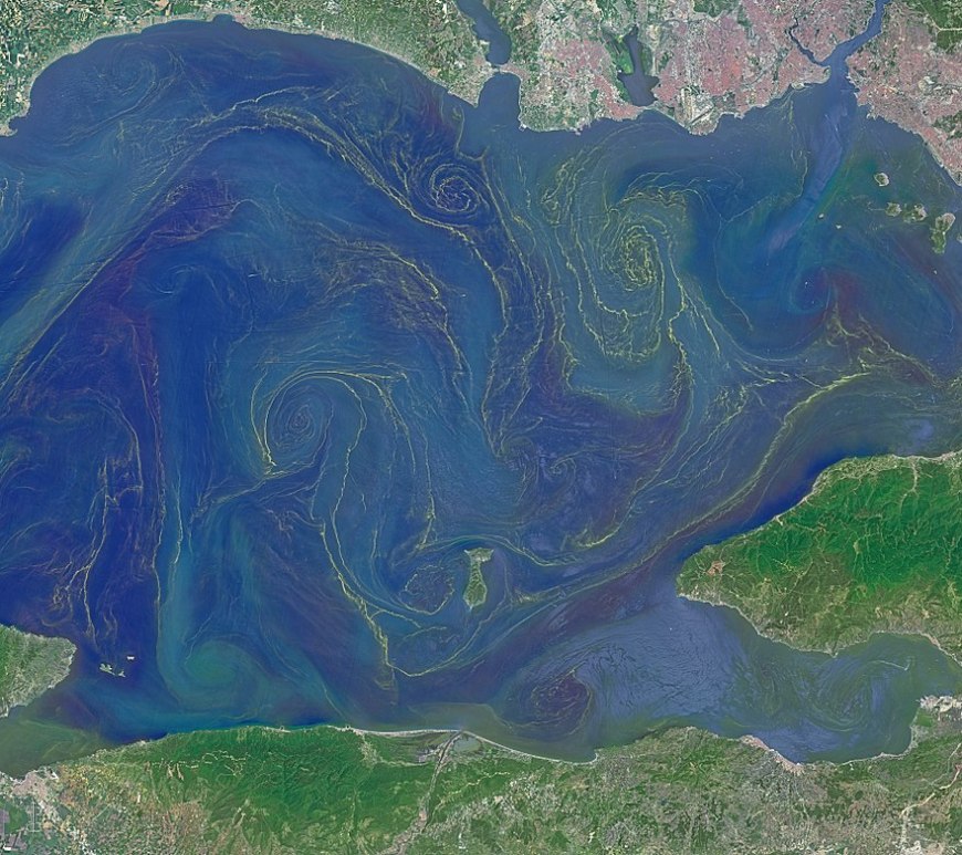 Figure 1. Blooms in the Sea of Marmara, the smallest sea in the world