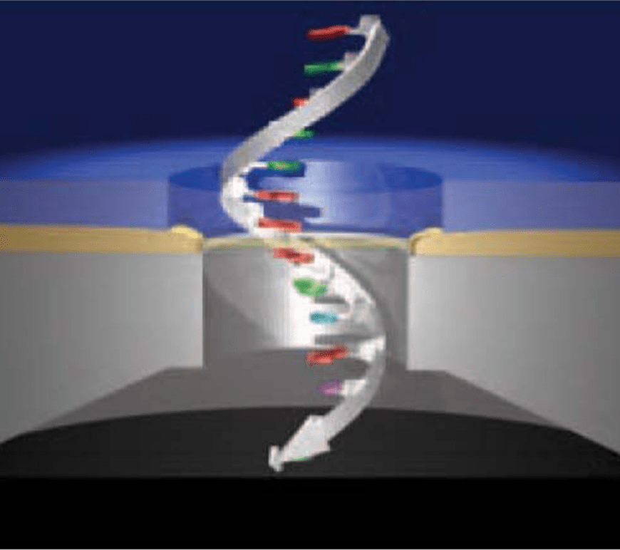 Figure 1. Researchers from Arizona State University found conductive properties in human integrin protein using Scanning Tunnel Microscopy. The image depicts this technique with a single strand of DNA.